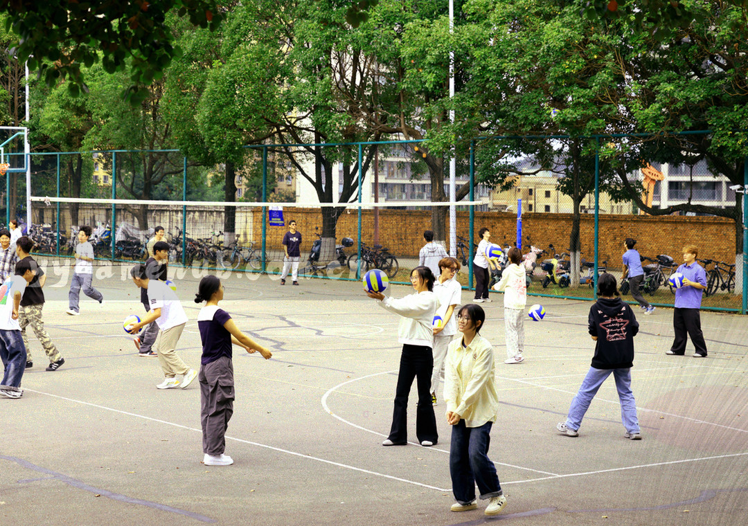 规格册与抽象授权凭证样张并置在深色桌面上，画面中没有真实印章与可辨识签名